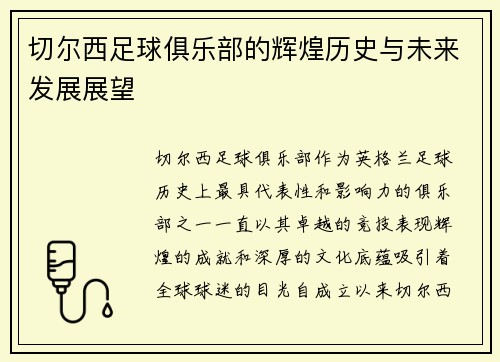 切尔西足球俱乐部的辉煌历史与未来发展展望