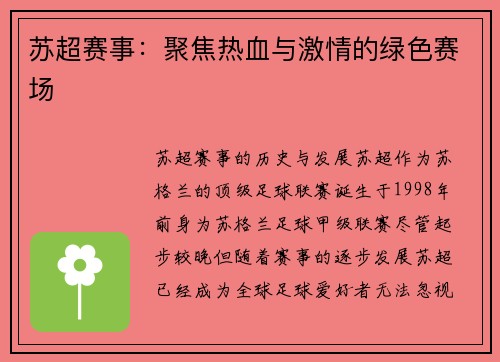 苏超赛事：聚焦热血与激情的绿色赛场